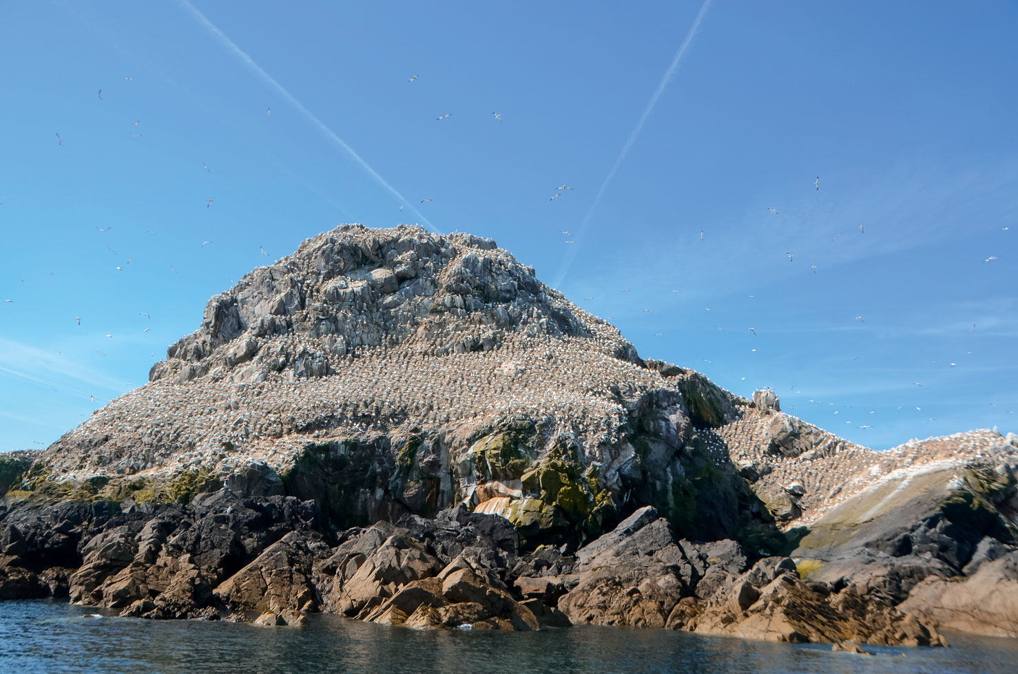 L’archipel des Sept-Iles | Bretagne.com